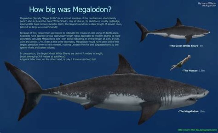 Are megalodon dinosaurs?