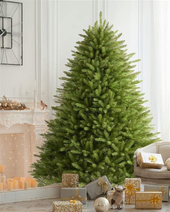 Are Xmas trees edible?