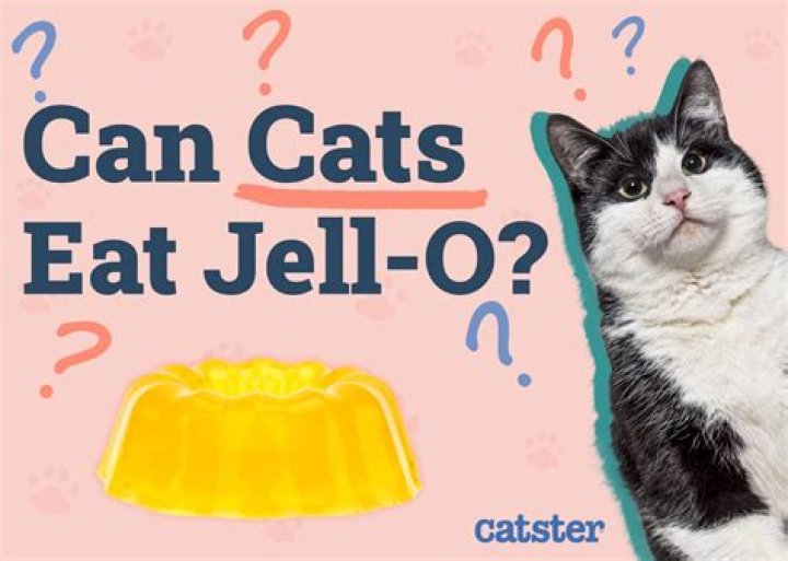 Can birds eat Jell O?