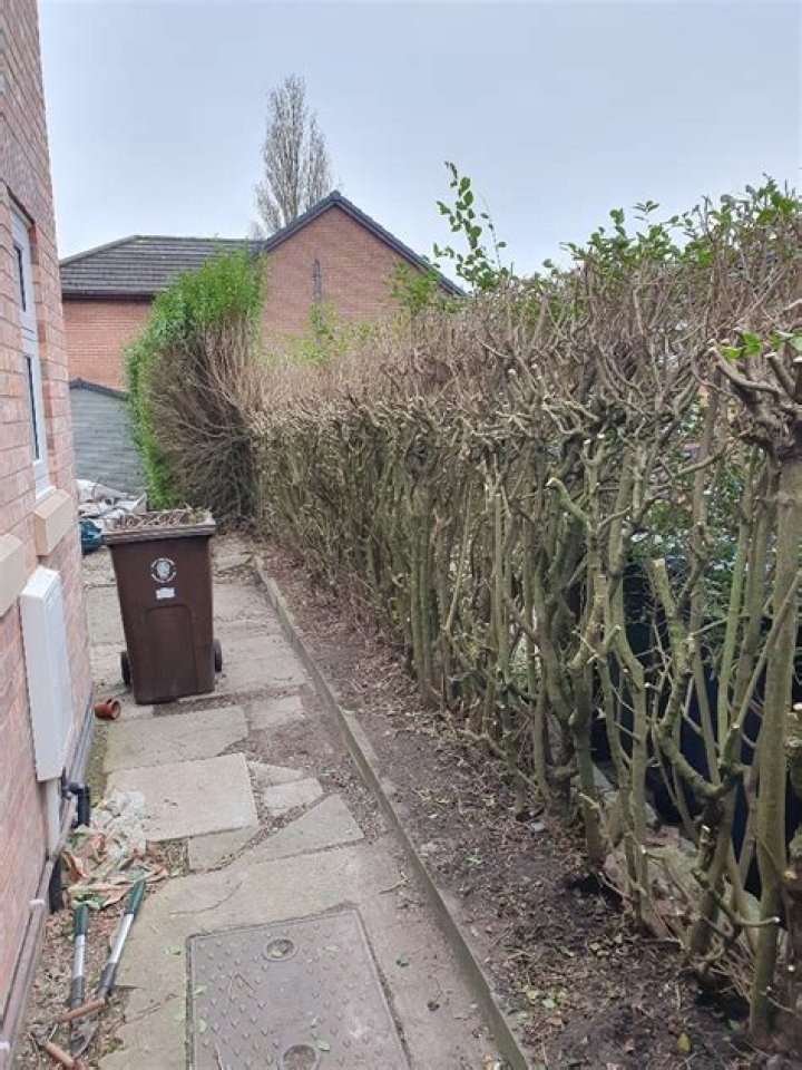 Can I cut my Neighbour's hedge on my side?