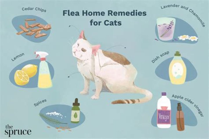 Can I use Listerine on my cat for fleas?