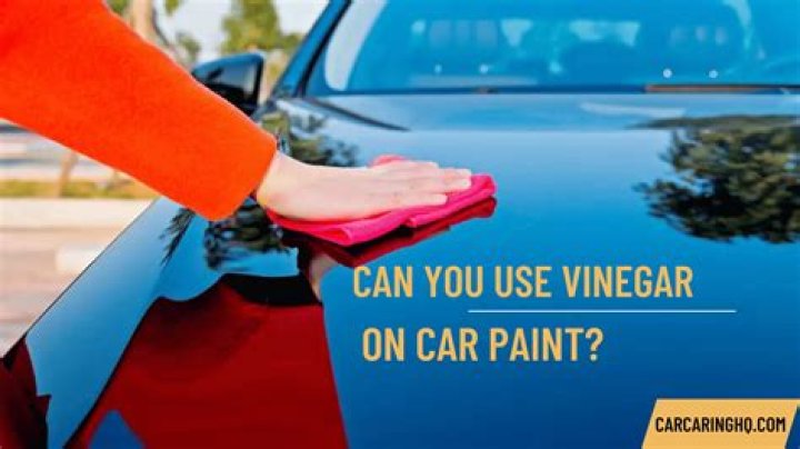 Can vinegar strip paint?