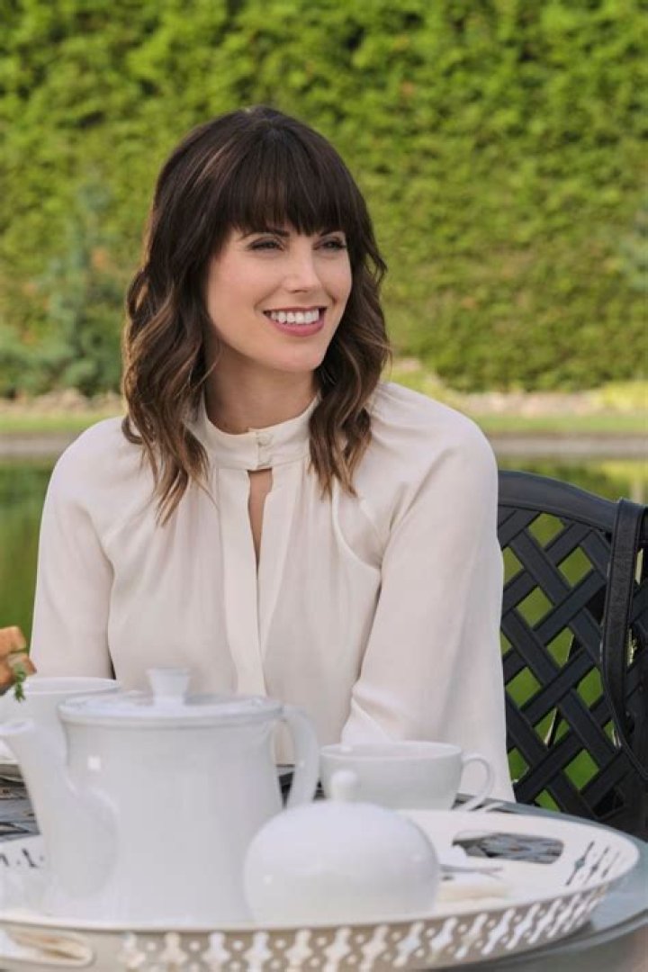 Did Jesse Metcalfe leave Chesapeake Shores cast?