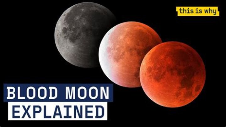 Do blood moons affect animals?
