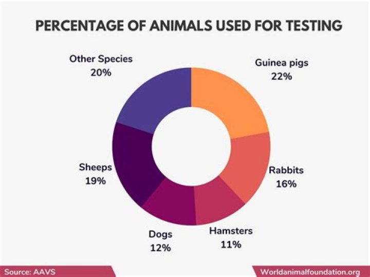 Do Estee Lauder test on animals?