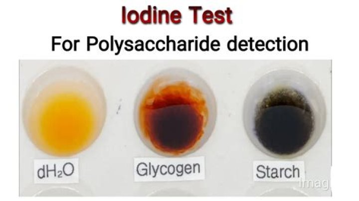 Does carrot contain iodine?