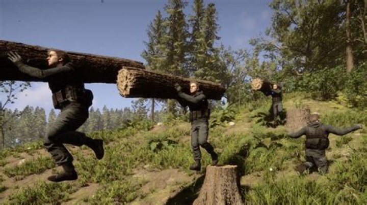 Does The Forest have mods?