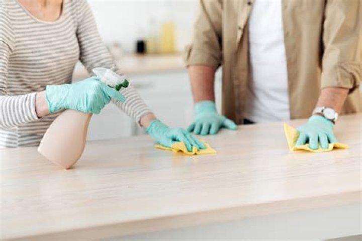 How do I disinfect my house after mice?