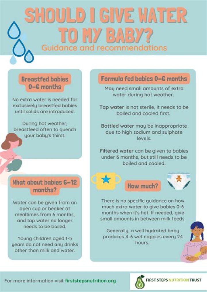 How do I offer water to my baby?