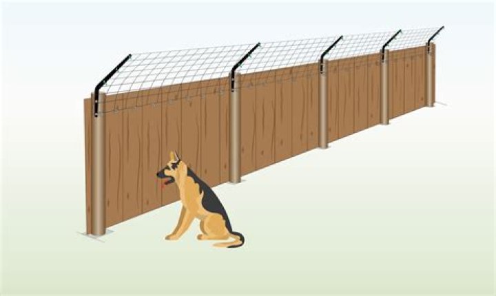 How do I stop my dog chasing wildlife?