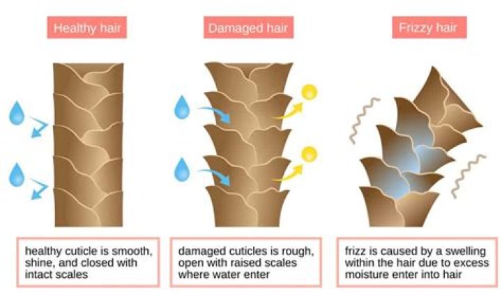 How do you know if your hair is heat damaged?