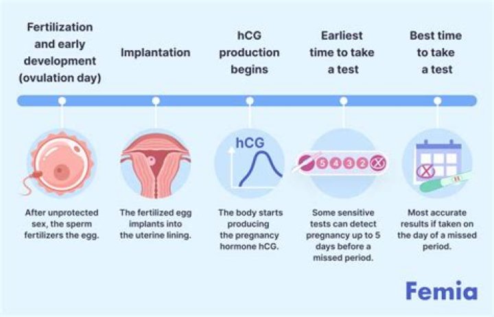 How long should it take to get the results of a biopsy?