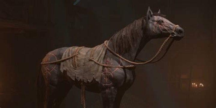 Is Primal mooncloth worth?