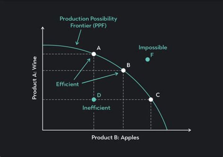 Should I get PPF for Tesla?
