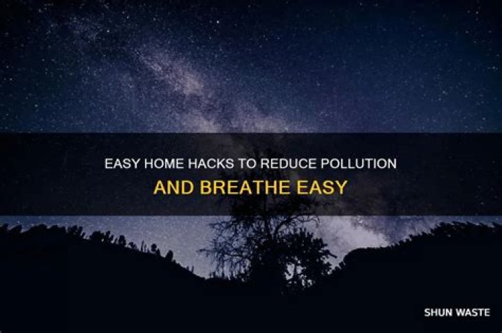 What are 10 ways to reduce pollution at home?