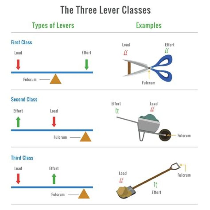 What are the 3 types of hammer?
