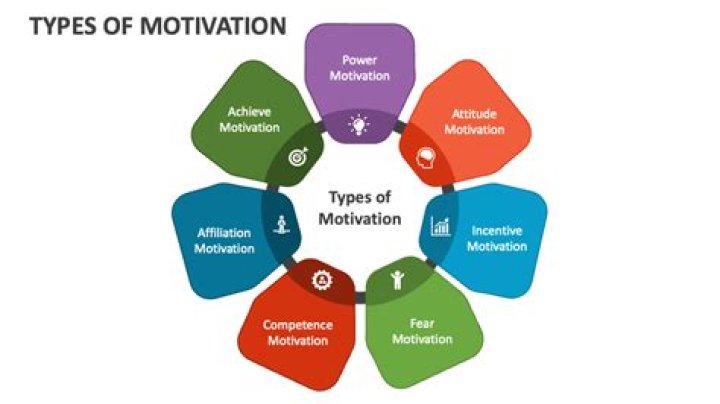 What are the 3 types of motivation?
