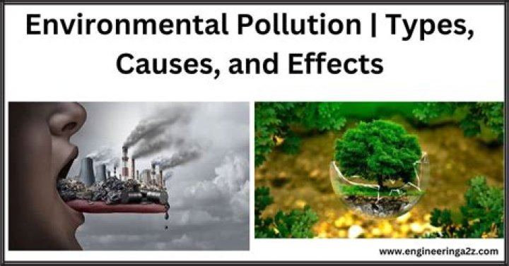 What are the causes and effects of environmental pollution?