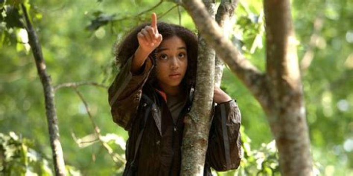 What did Rue tell Ali?