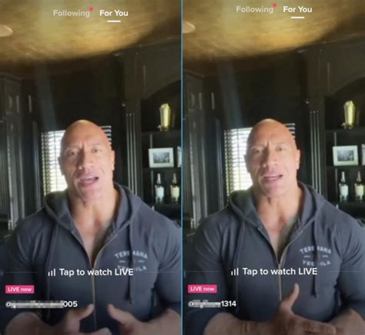 What do roses mean on TikTok?