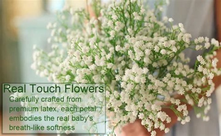 What do you do with baby's breath flowers?