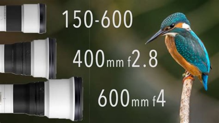 What does 600mm lens mean?