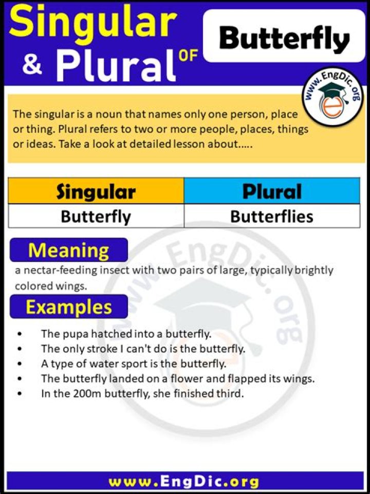 What is butterfly plural?