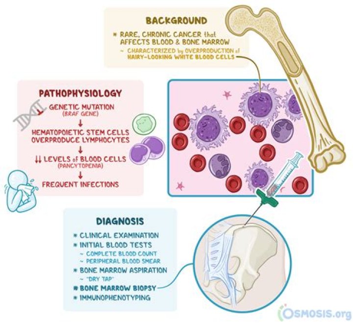 What is hairy cell leukemia?