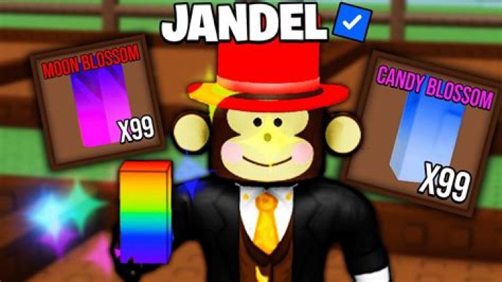 What is jandal in NZ?