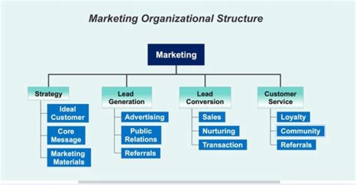 What is marketing organization and its purpose?