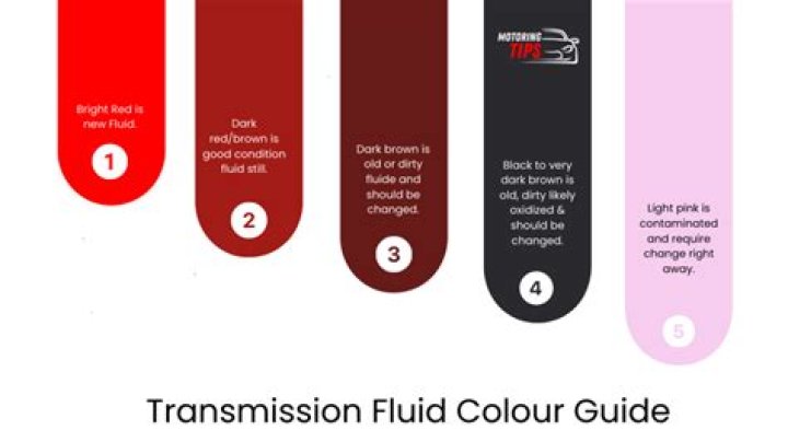 What is purple car fluid?