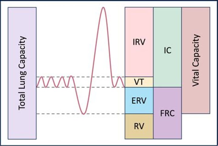 What is the lowest lung capacity you can live with?