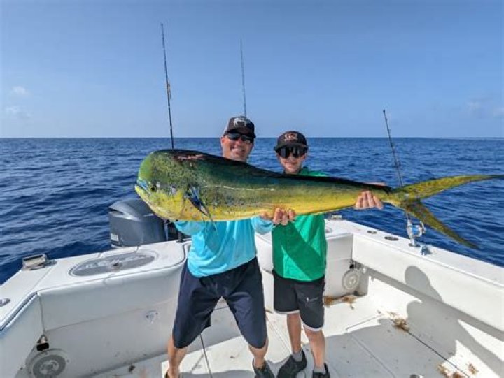 What is the Mahi Mahi limit in Florida?