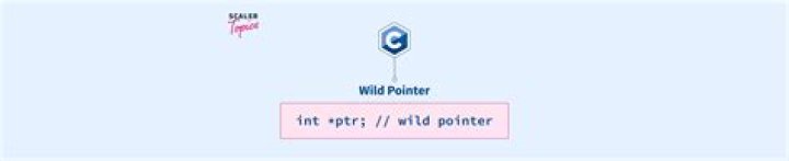 What is wild pointer in C?