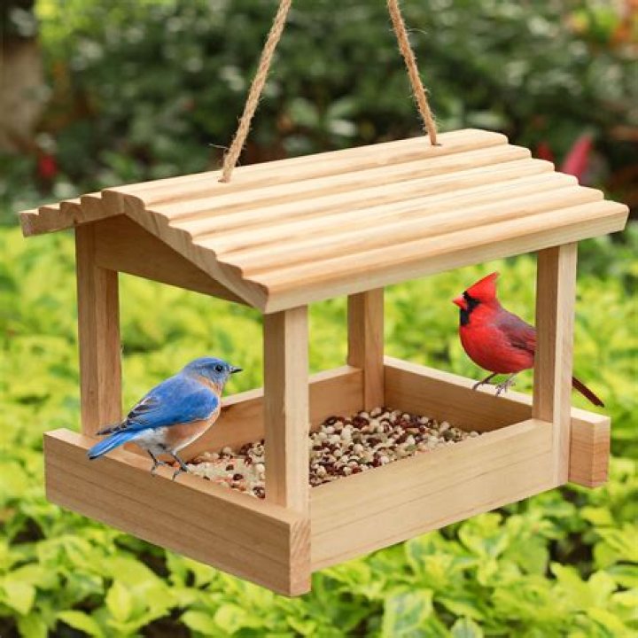When should I take down my bird feeder?