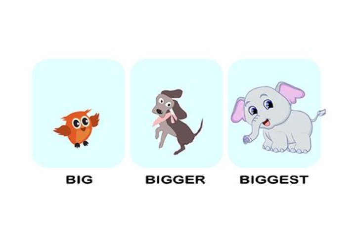 Which is bigger Enterprise or Voyager?