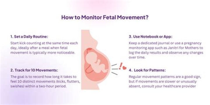 Which part of belly feels baby movement?