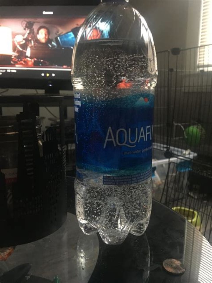 Why are there bubbles in my cats water fountain?