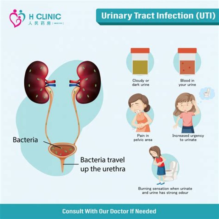 Why are UTIs so painful?