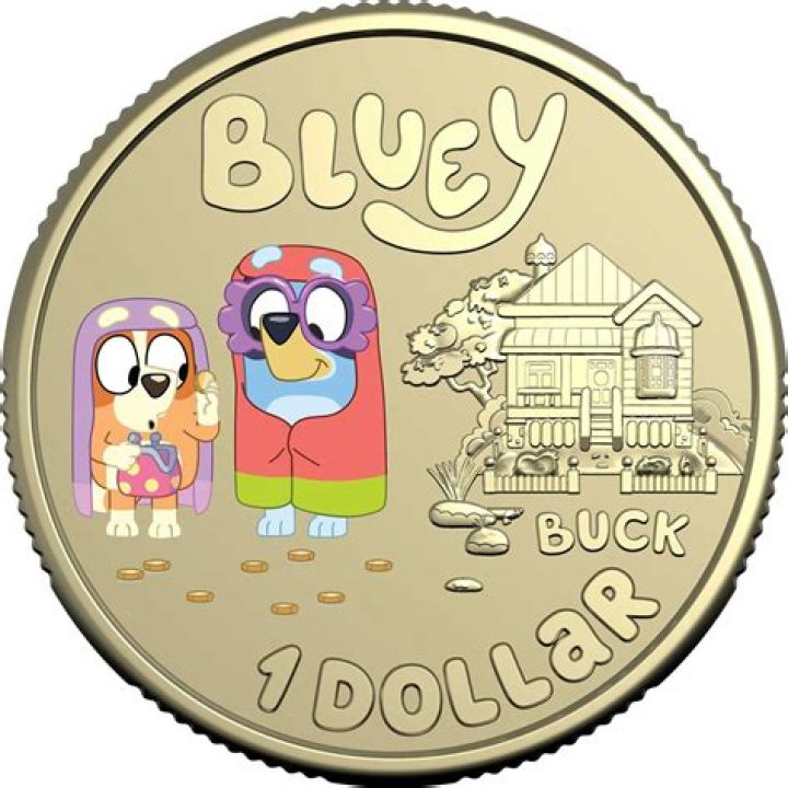 Why do they say dollar bucks on Bluey?