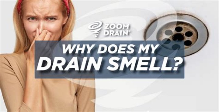 Why does my French drain smell?