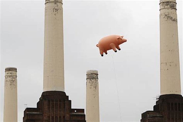 Why does Pink Floyd use a pig?
