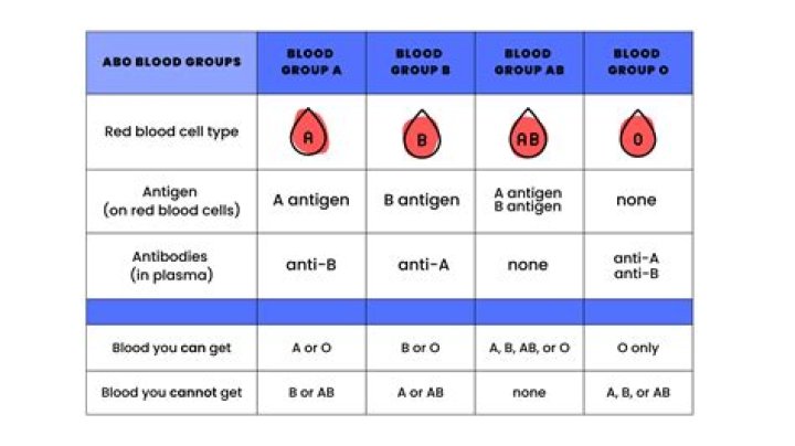 Why is blood type so important in Korea?