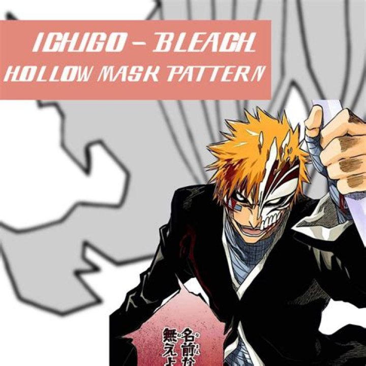 Why is Ichigo Half Hollow?